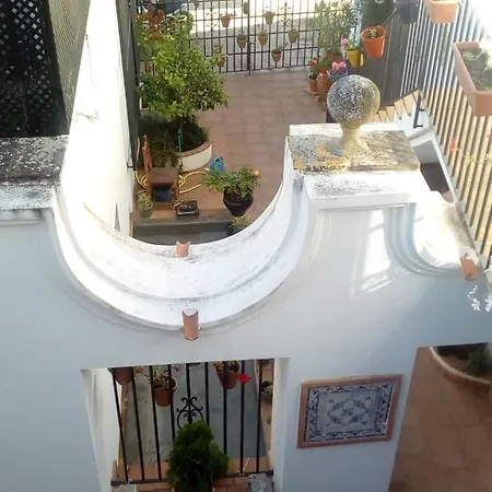 게스트하우스 Casa Del Artista Viajero